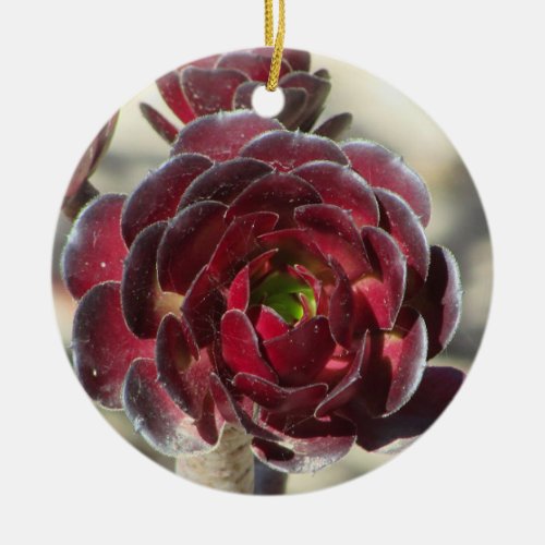Master Gardener Desert Landscaper Photo Red Plant Ceramic Ornament