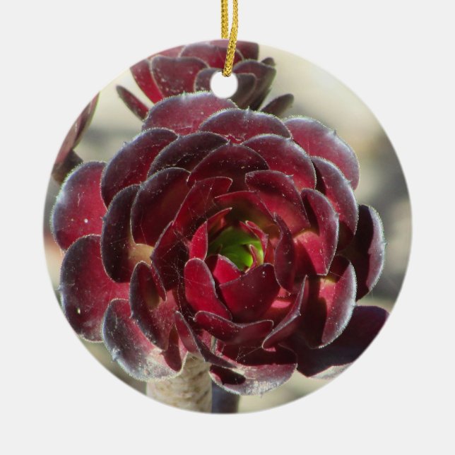 Master Gardener Desert Landscaper Photo Red Plant Ceramic Ornament (Front)