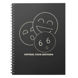 Mastering the Chaos Within Notebook