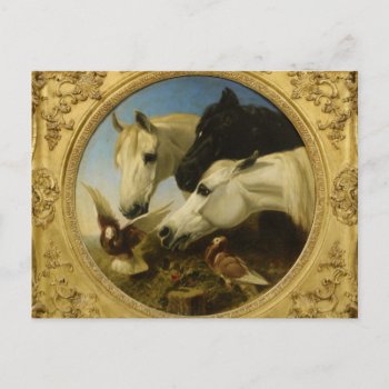 Masterpiece Horse & Dove Painting John Herring Postcard by iBella at Zazzle