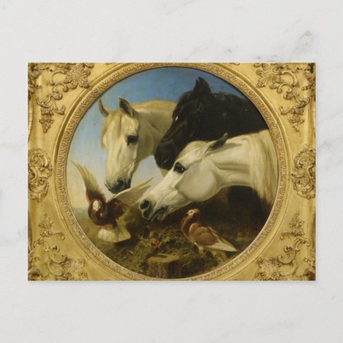 Masterpiece horse  dove painting John Herring Postcard