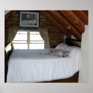 Master's Bedroom Poster