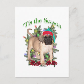 Mastiff 2 ‘Tis Postcard