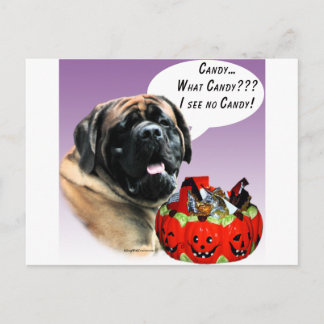 Mastiff (apricot) HalloweenCandy Postcard