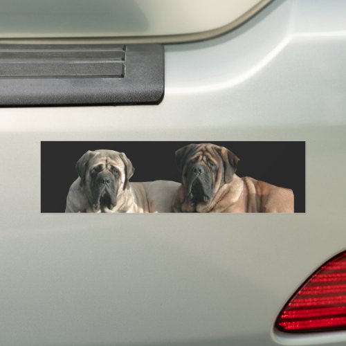 Mastiff Best Friends   Bumper Sticker