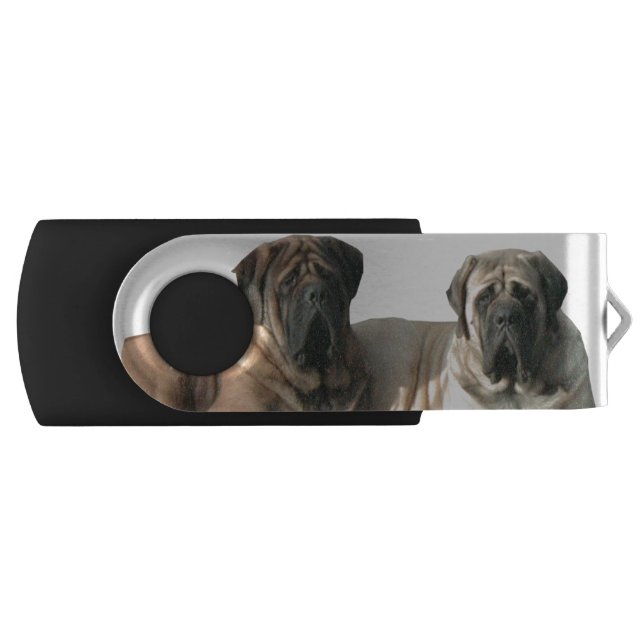 Mastiff Best Friends Flash Drive (Front)