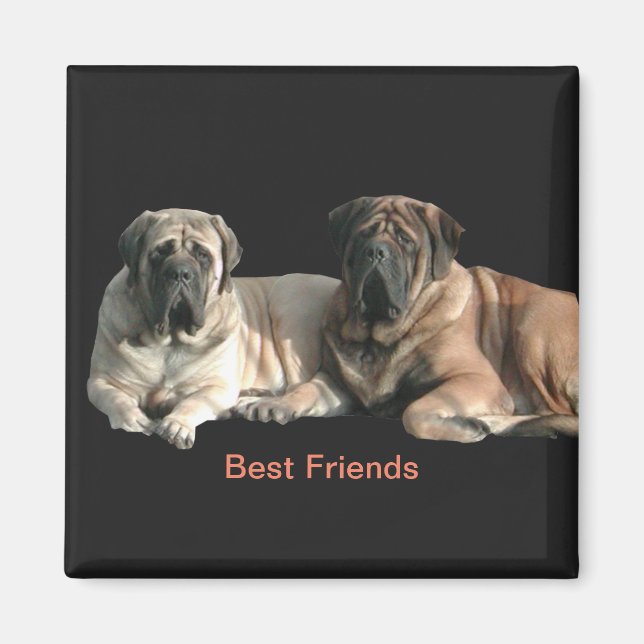 Mastiff Best Friends   Magnet (Front)
