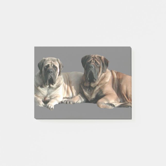 Mastiff best friends post-it notes (Front)