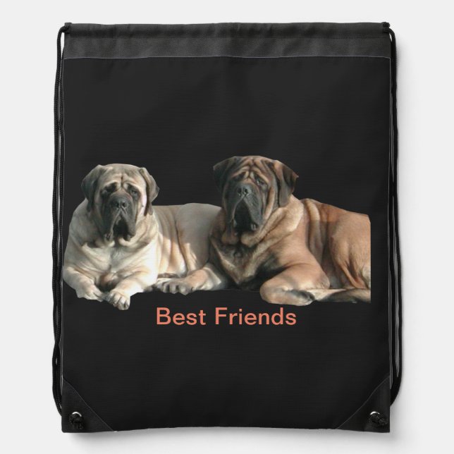 Mastiff Best Friends Sports Bag (Front)