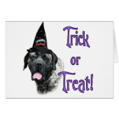 Mastiff (brindle) Trick (Front Horizontal)