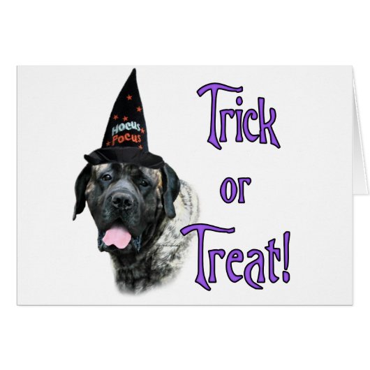 Mastiff (brindle) Trick (Front Horizontal)