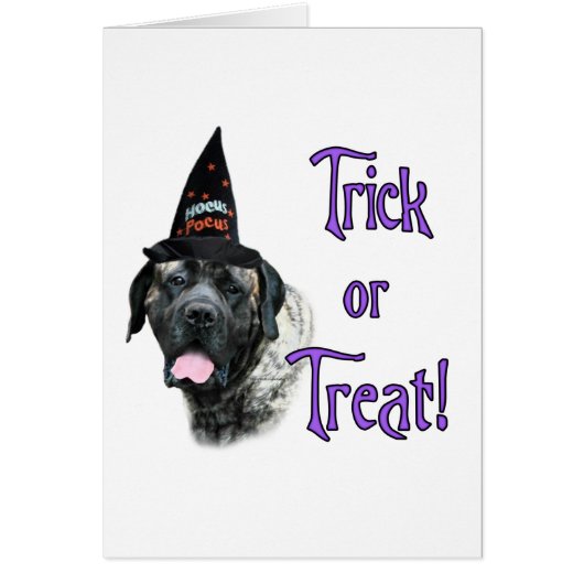 Mastiff (brindle) Trick Cards (Front)