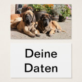 Mastiff Business Cards (Front & Back)
