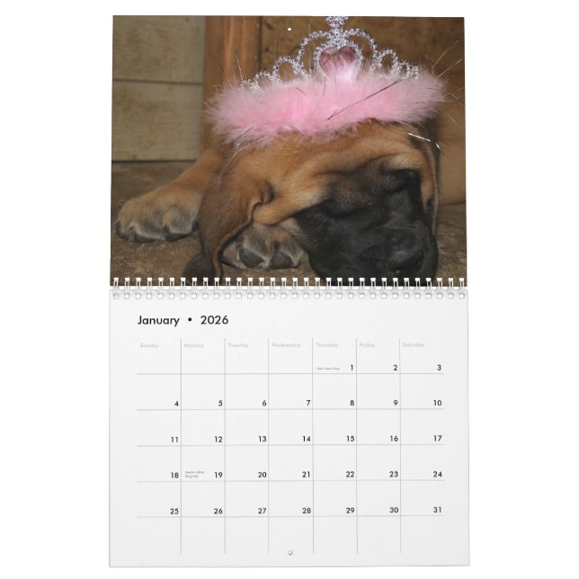 Mastiff calendar (Jan 2026)