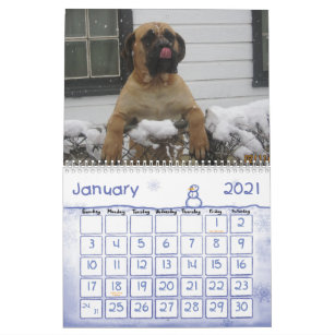 Mastiff Calendar