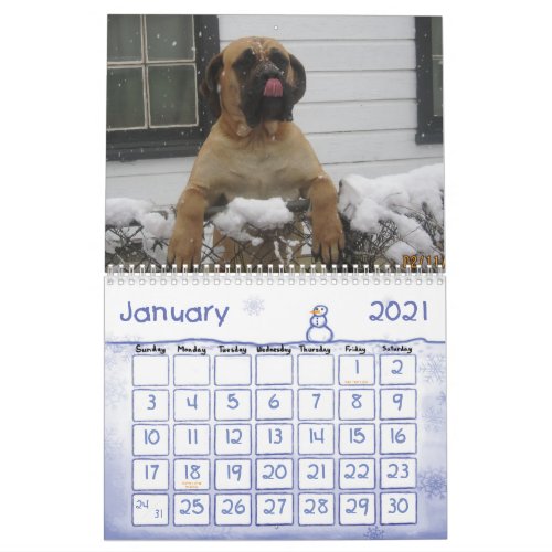 Mastiff Calendar