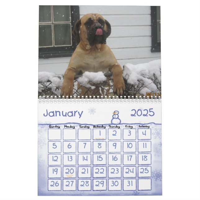 Mastiff Calendar (Jan 2025)