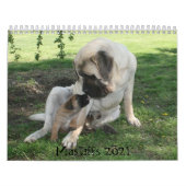 Mastiff Calendar (Cover)