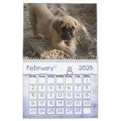 Mastiff Calendar (Feb 2025)