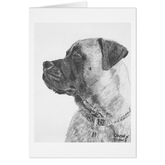 Mastiff Cards (Front)