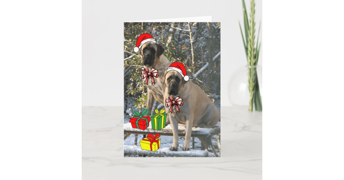 Mastiff Christmas Card | Zazzle