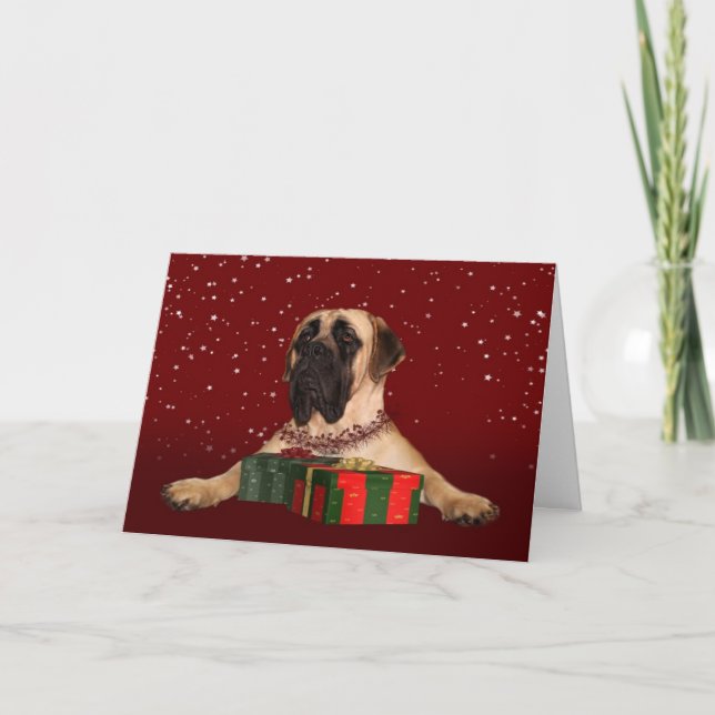 Mastiff Christmas Holiday Card (Front)