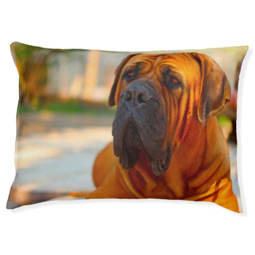 Mastiff Dog Bed Pet Bed