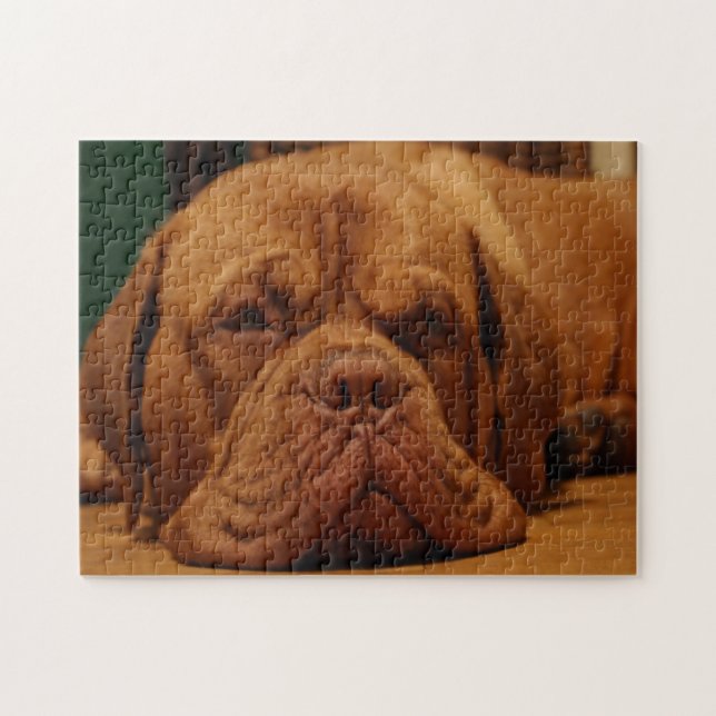 Mastiff Dog Breed. Jigsaw Puzzle (Horizontal)