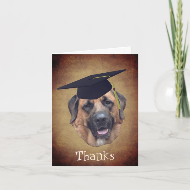 Dog graduation cheap cap