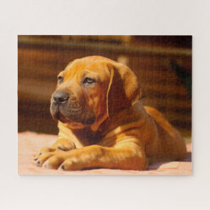 Mastiff Dog. Jigsaw Puzzle