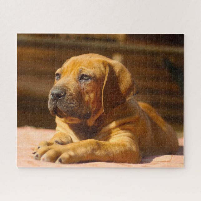 Mastiff Dog. Jigsaw Puzzle (Horizontal)