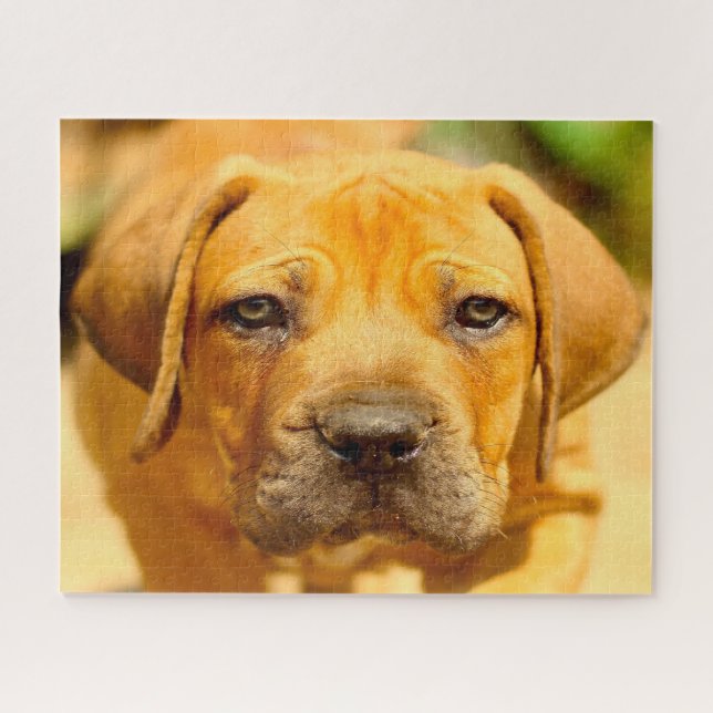 Mastiff Dog. Jigsaw Puzzle (Horizontal)