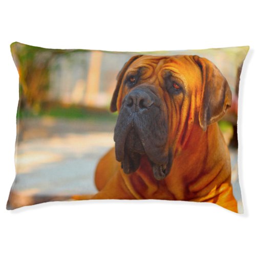 Mastiff Dog Pet Bed