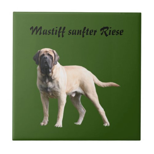 Mastiff English dogge Ceramic Tile