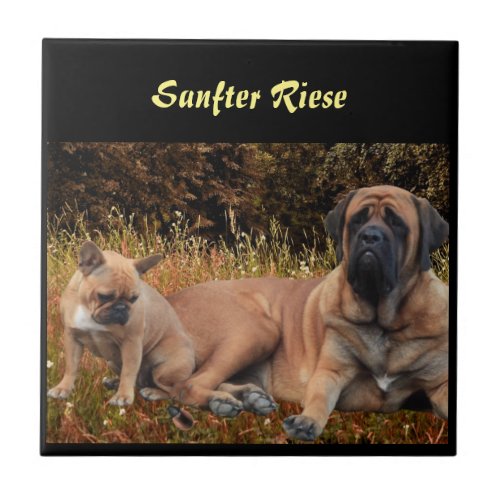 Mastiff English dogge Ceramic Tile