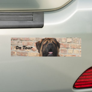 Mastiff English Mastiff Father's Day  Bumper Sticker