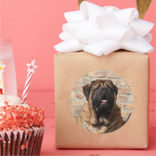Mastiff English Mastiff Father's Day  Classic Round Sticker