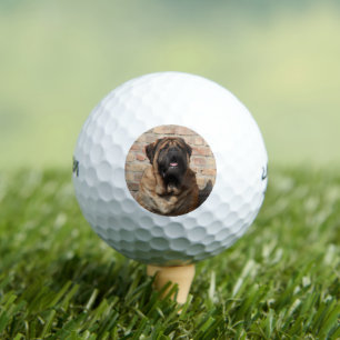 Mastiff English Mastiff Father's Day Golf Balls
