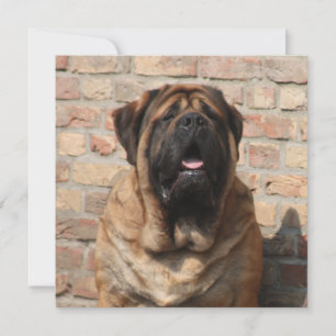 Mastiff English Mastiff Father's Day Invitation