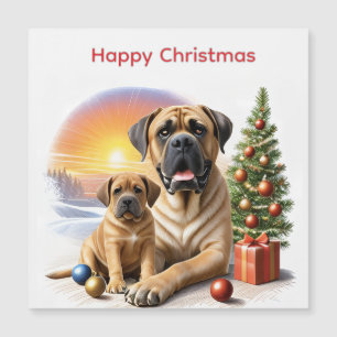 Mastiff English Mastiffs Christmas