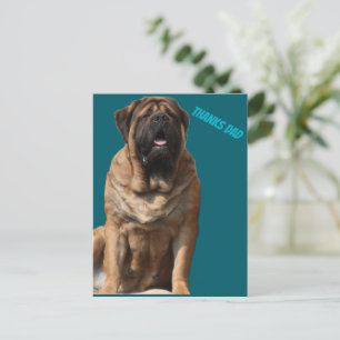 Mastiff Father's Day Best Friends  Postcard