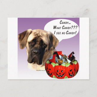 Mastiff (fawn) Halloween Candy Postcard