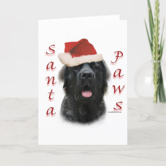 Mastiff (fluffy) Santa Paws Holiday Card