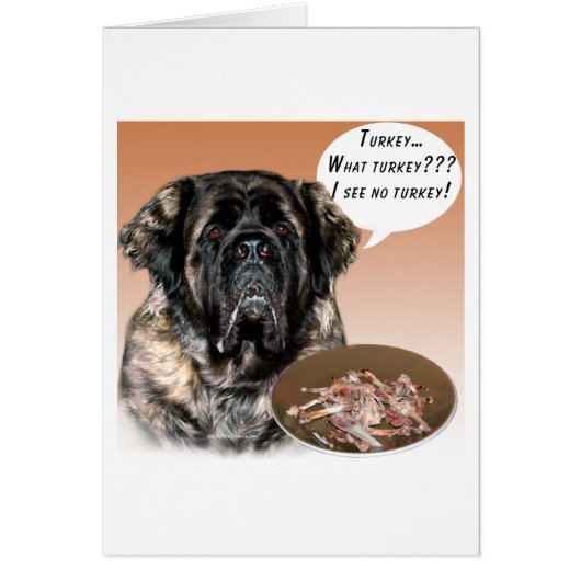 Mastiff (fluffy) Turkey Cards (Front)