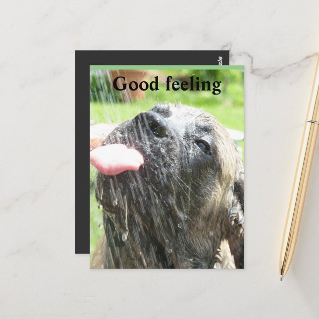 Mastiff Good Feeling Postcard (Front/Back In Situ)