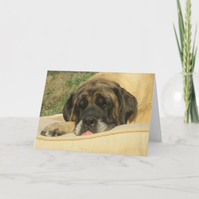 Mastiff Greeting Card (Front)