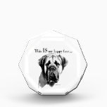 Mastiff Happy Face Acrylic Award<br><div class="desc">The loveable face of your Mastiff may not always LOOK happy,  but you know that under that grumpy exterior your dog is happy!  Give the Mastiff lover in your life this comical expression of happiness!!</div>