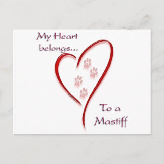 Mastiff Heart Belongs Postcard