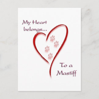 Mastiff Heart Belongs Postcard