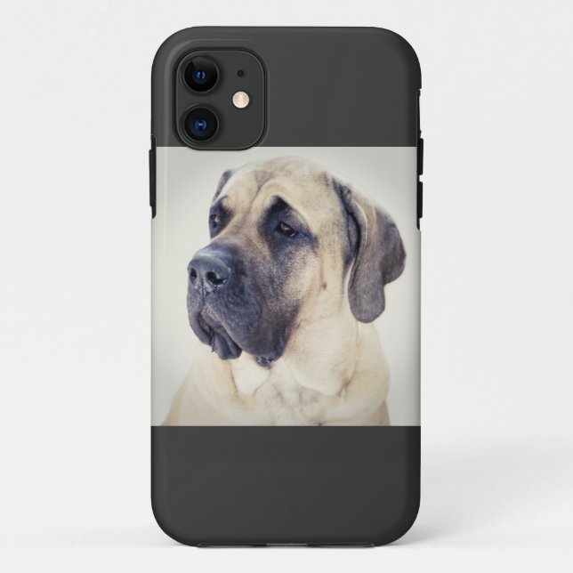 Mastiff iPhone5 Case (Back)